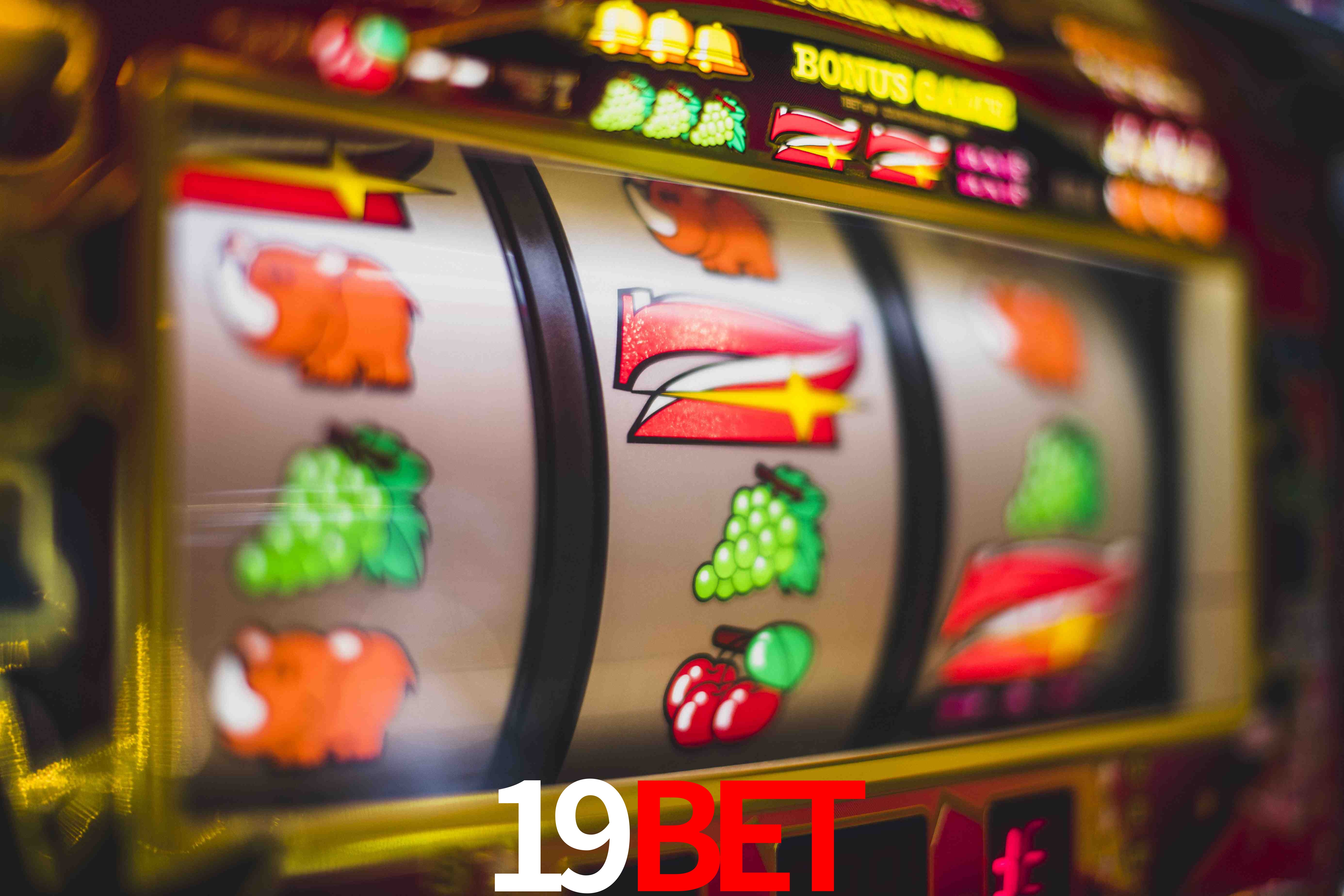 Aviator Game 19bet